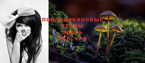 кристаллы Белоозёрский